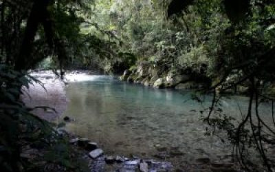 Carnaval na natureza: descubra as opções de ecoturismo e aventura em SP